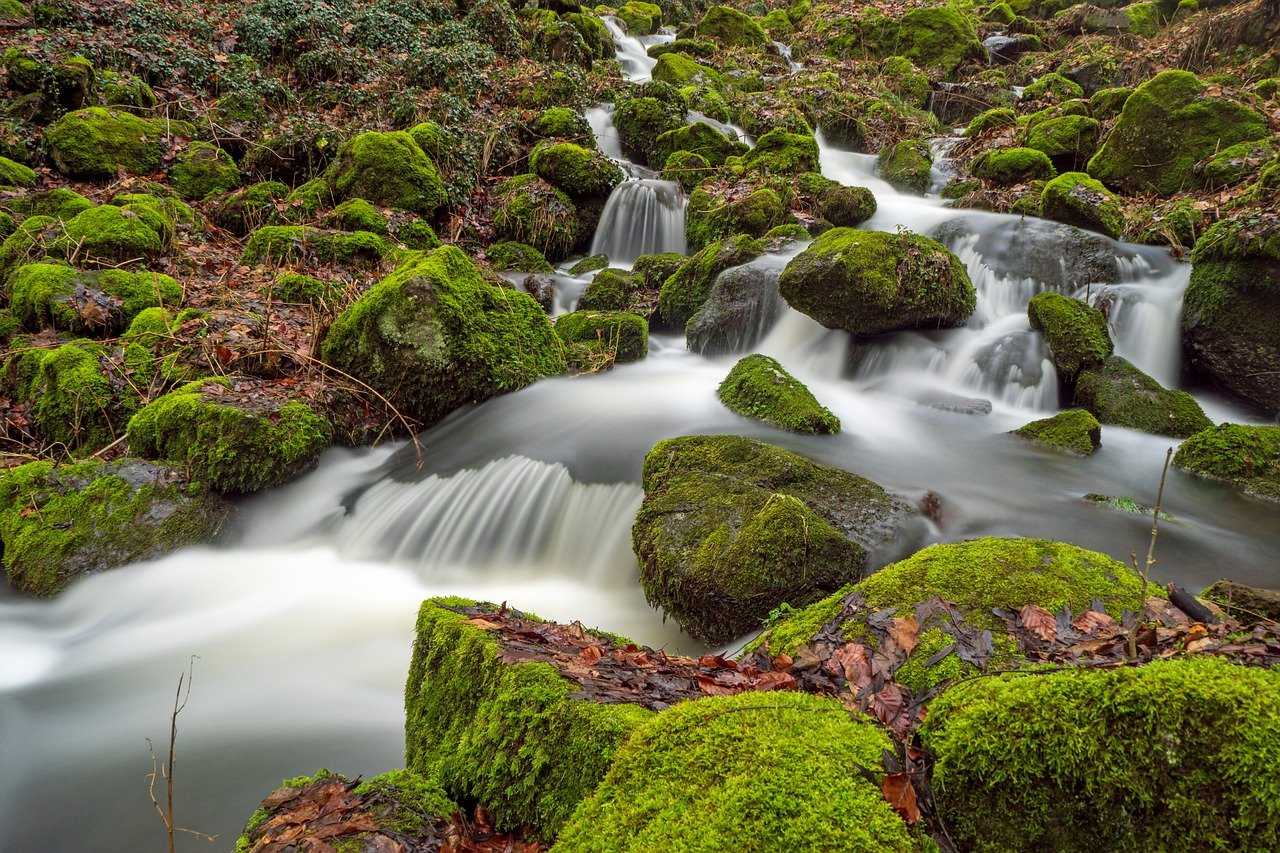The Growing Concern Over Water Pollution